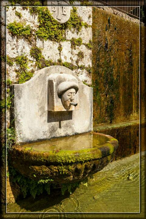 marc-andre-fontaines-2019-09-20-barjols-112-copie 